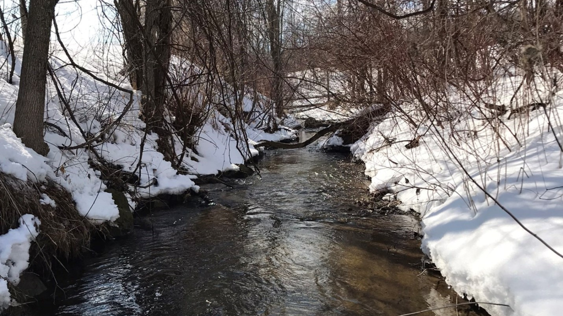 Diagnostic du cycle de l&rsquo;eau et sources de contamination en contexte de forçage anthropique extrême : cas du ruisseau Rousse, Québec