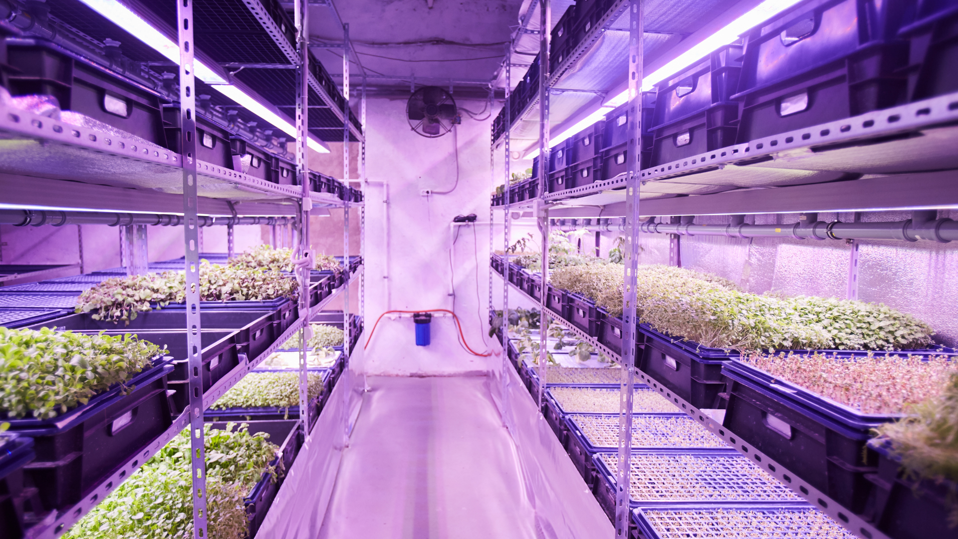 Agriculture en environnement contrôlé: optimisation de l&rsquo;efficacité des ressources