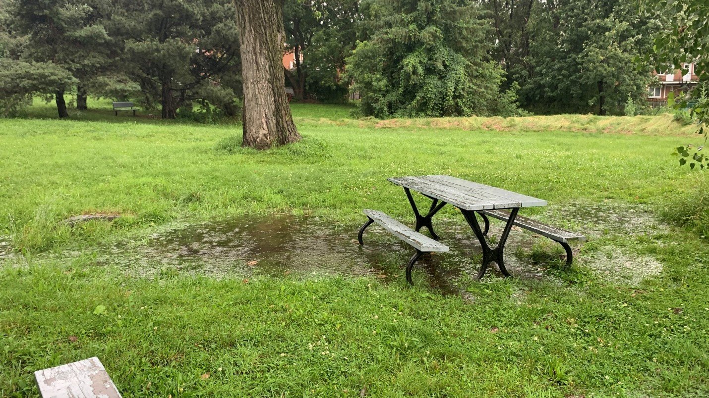 Gestion des eaux pluviales à l’aide de parcs éponges: étude de cas du parc Prieur